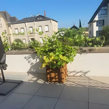 Augusta Appartement Geisenheim